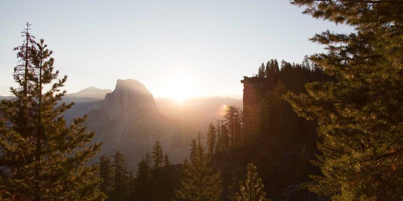 专业篮球鞋缓震科技对比：气垫、材料与结构缓震的实战体验 | 运动商城选购指南