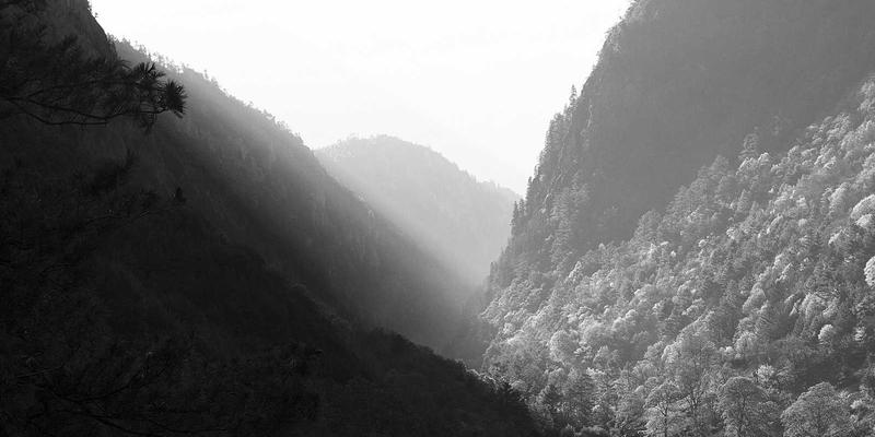 专业选购指南：如何通过体育用品评测，在运动商城找到最适合你的健身器材