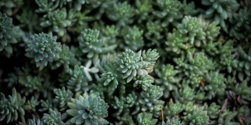 从专业到日常：体育用品发展如何重塑登山、露营与运动消费新生态