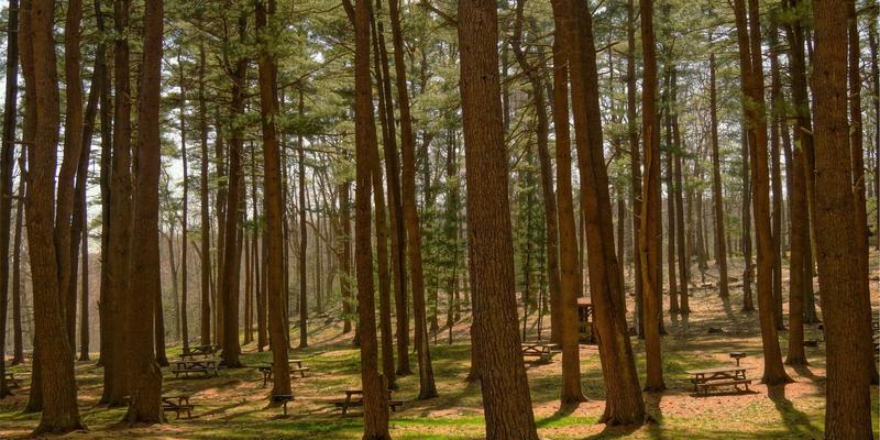 从露营登山到球场：如何用跨界装备思维优化团队球类运动训练