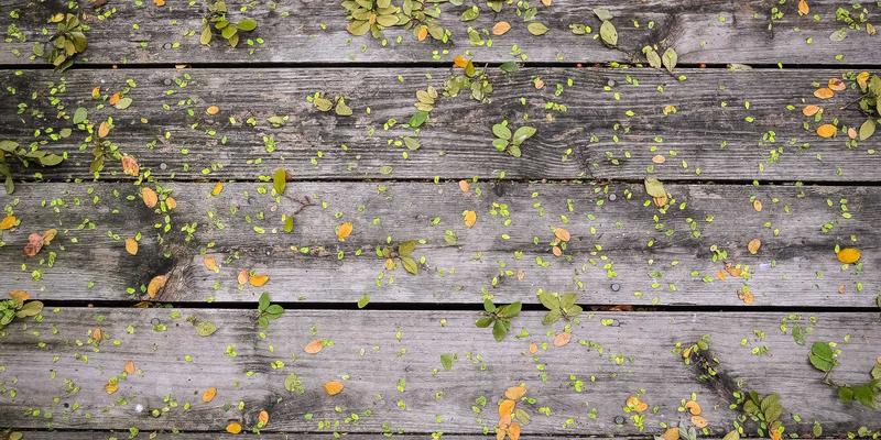 体育用品67：从健身器材到登山装备，一站式运动商城如何重塑健康生活