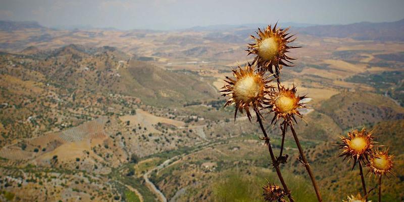 儿童体育用品选购全攻略：从平衡车到篮球鞋的安全与成长考量