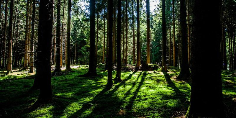 奥思龙：专业登山用品如何引领体育用品96新风尚