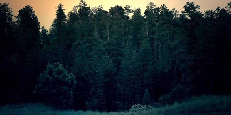 奥思龙运动商城：专业户外运动装备指南与选购策略