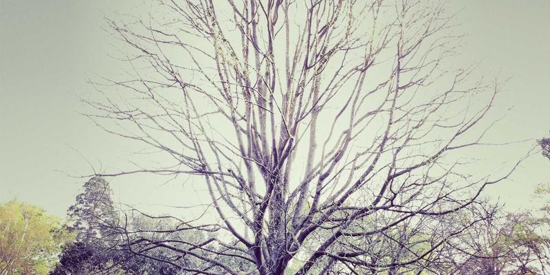 户外徒步背包装载科学与背负系统调整全攻略：背长调节与透气性优化