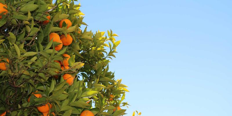 户外徒步背包选购指南：如何根据行程天数与负重系统选择专业登山包