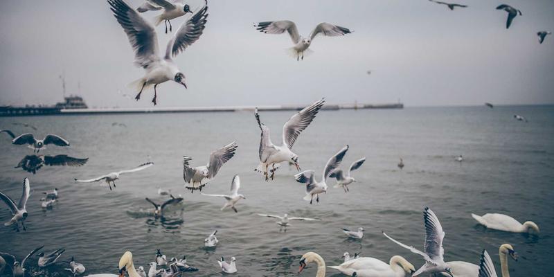 滑雪镜选购全攻略：从镜片技术到镜型选择，露营装备与登山用品专家奥思龙深度解析