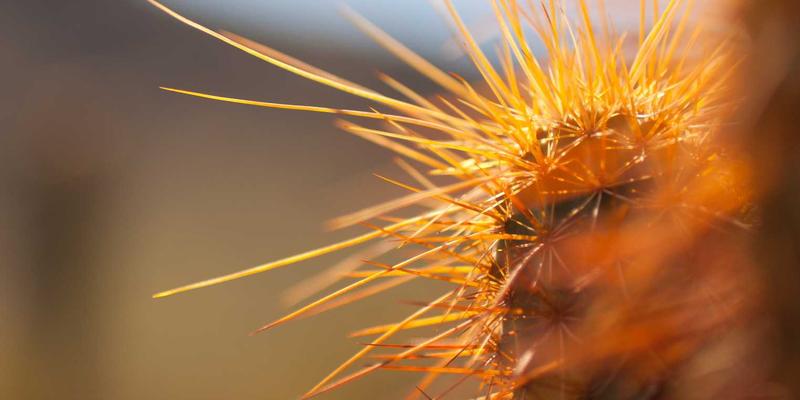 运动压缩衣裤原理与功效：提升运动表现与加速恢复的科学依据 | 户外运动装备指南