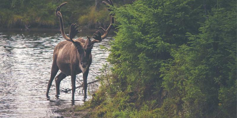 运动商城全攻略：从露营装备到户外运动装备的一站式解决方案