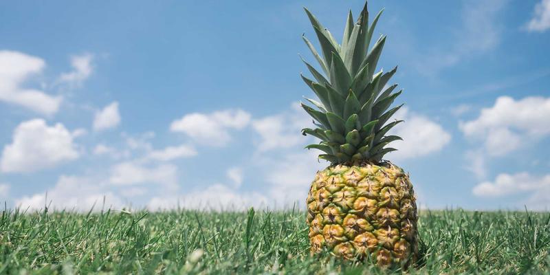 运动商城精选：健身房自由力量区三大健身器材（杠铃片、哑铃、壶铃）进阶训练全攻略