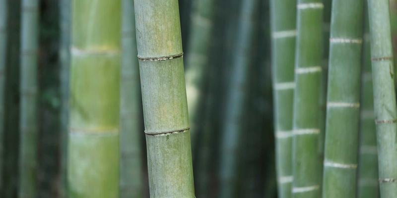 运动护具的科学选择：从篮球护踝到跑步护膝的防护原理与适用场景解析 | 专业体育用品指南